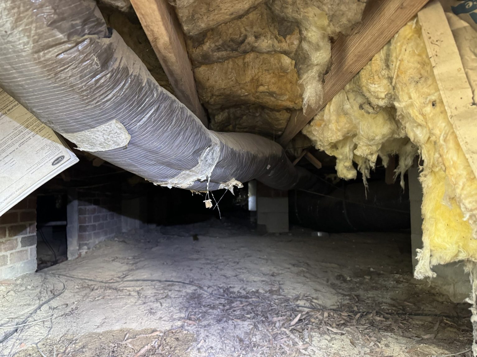 crawl space repair technician inspecting floor joists in Bladenboro NC